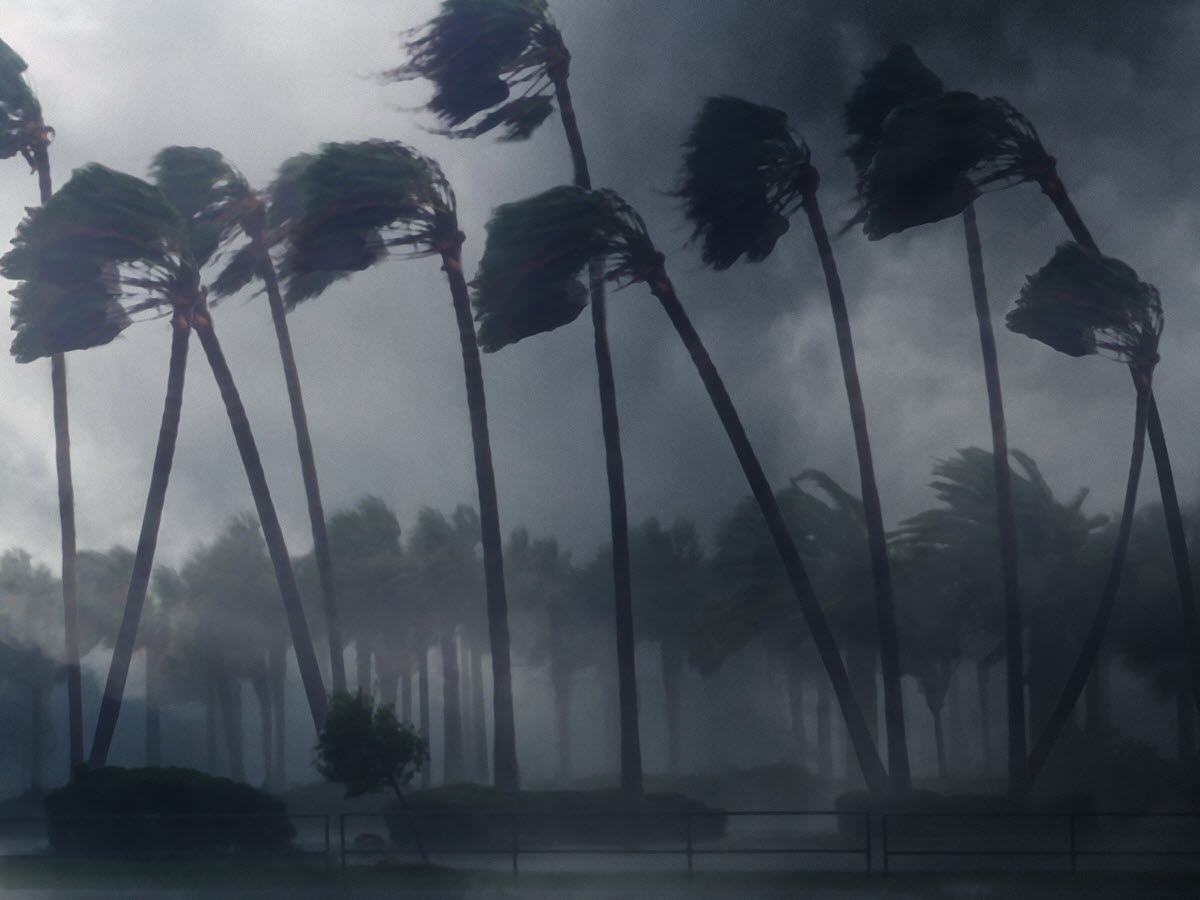 hurricane uhnwi security