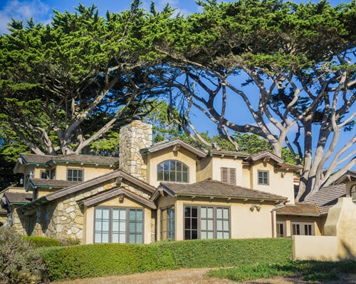 house-surrounded-by-large-cypress-trees-2024-12-04-18-45-37-utc-min